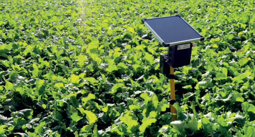 Maroc - France : un partenariat agricole multidimensionnel
